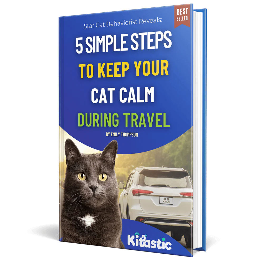 FREE EBOOK: 5 Simple Steps to Keep Your Cat Calm During Travel