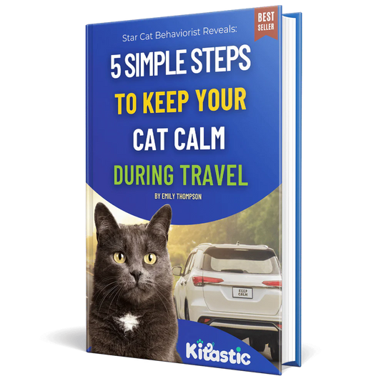FREE EBOOK: 5 Simple Steps to Keep Your Cat Calm During Travel